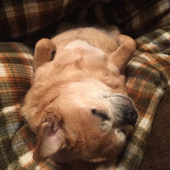 Cb5fa741 dff4 4b61 b3d9 c6c715526e5b 1597112127659