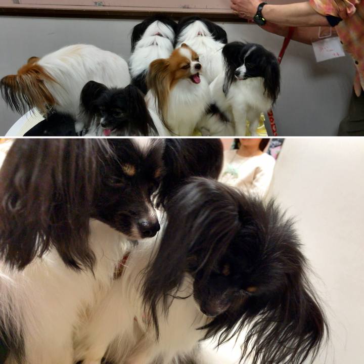 Cb5fc2fd 04f6 4233 84a5 d353cdcbdd0d 1517739477496