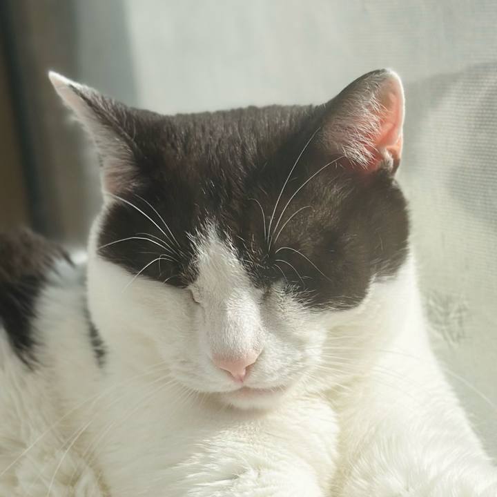 Cb5fc731 3be8 4e48 9aec 5d71da876f9d 1685755142220