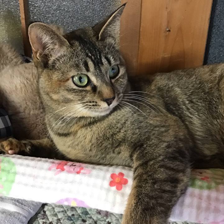 Cb5fe58b 7183 41e4 b417 9b9b97378f7a 1587205457047