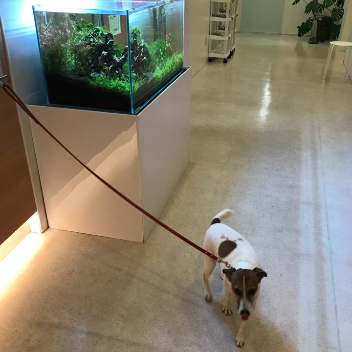 Cb6003bb 6c9f 42c3 8706 ce5ad3786abd 1509622819765