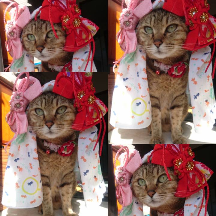 Cb6004a2 b75d 441a 877c eb6461b099f6 1768948778726