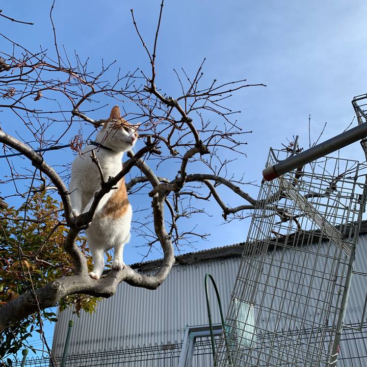 Cb600cb0 8e57 4772 bce0 749098cae72b 1580103700701