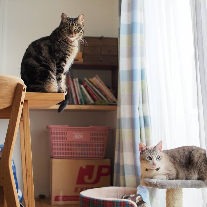 Cb6022a0 1aa2 4371 b42c b2d564cbc209 1578539758313