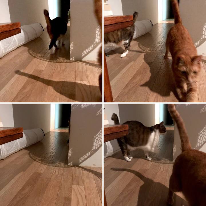 Cb60a9be 2139 49a2 95d2 7281541daffd 1530857824552