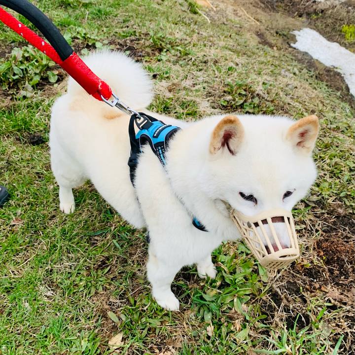 Cb60b0df 53c7 45a9 90d9 e6e8532dedfc 1680820244868