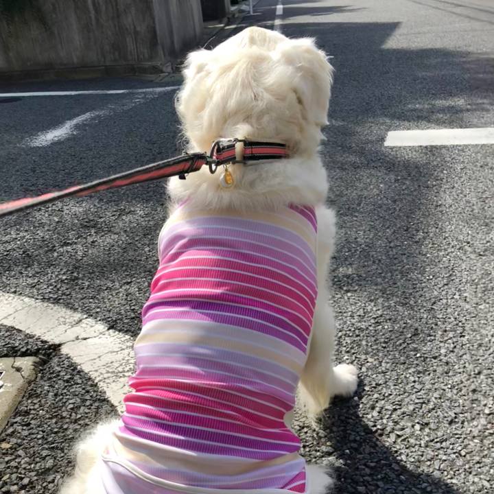 Cb60d221 a3b1 4a9b 9caf 34c99822e522 1536728148494