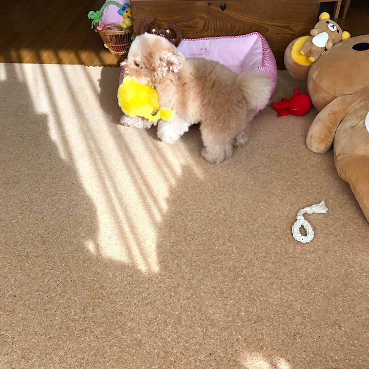 Cb60dc34 9bd1 4aec 9650 c52c71c747d0 1512814056698