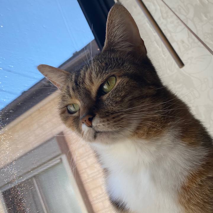 Cb60dd68 d29f 419b 93cb d2776f9a9991 1588912941794