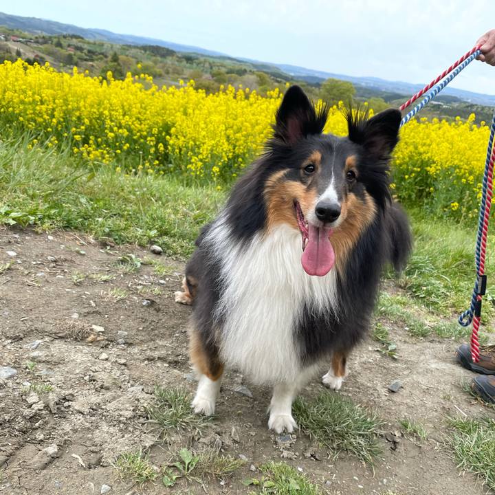 Cb60f3db dbdc 468a bdaf 1cc0a0554f0e 1619841674464