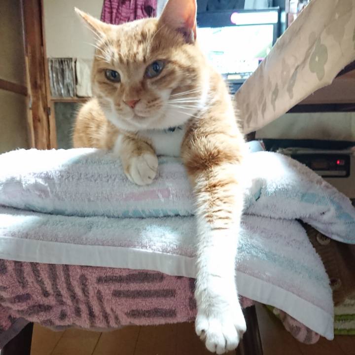 Cb6111f5 2c57 45a3 ba1c 5dd77319b2e7 1607549982631