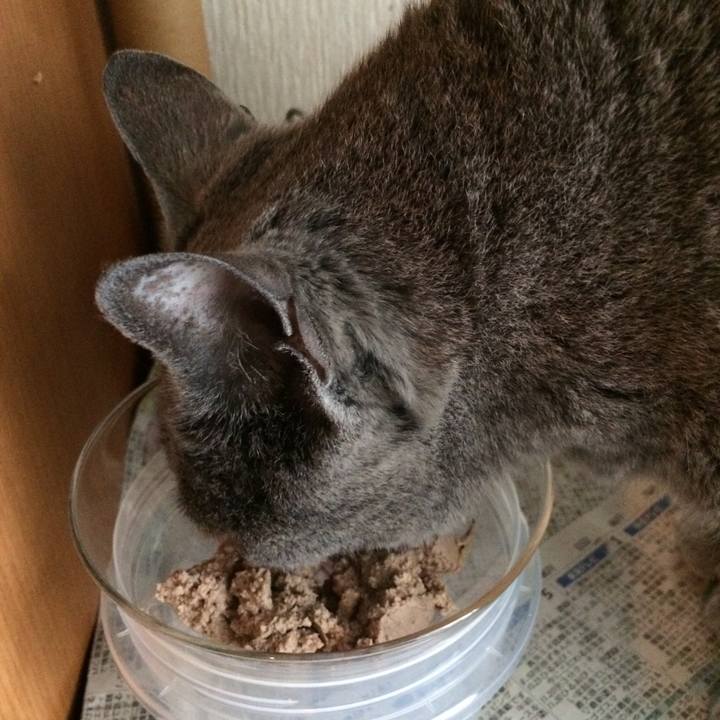 Cb614f58 821a 49a0 be08 f4bc85e5ce52 1530052212730