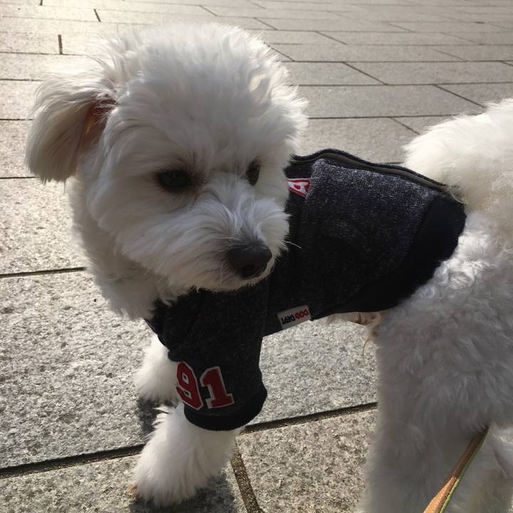 Cb616113 b3a7 44cd ab9e 95d2c0874d21 1518665787791