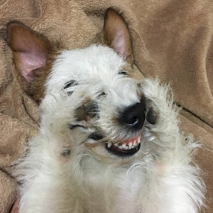 Cb616114 0cdf 4fac b066 9ae0e0cc32c2 1531526873347