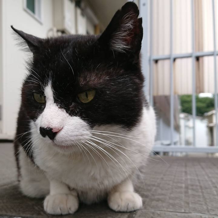 Cb617f49 77fa 4b14 a33b 96a400f56d5d 1560051535871