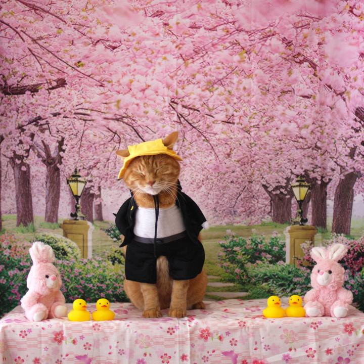 Cb61ad5f 6d98 445c 8df7 ee2f3b58b166 1775393622297