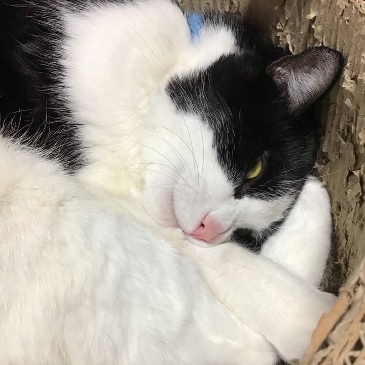 Cb61b6cd a0f8 419a 8e9b 6612307a9749 1741865113629