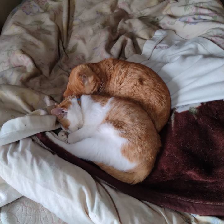 Cb61c502 7a17 4868 8ef7 a5e97952bae8 1744593824294