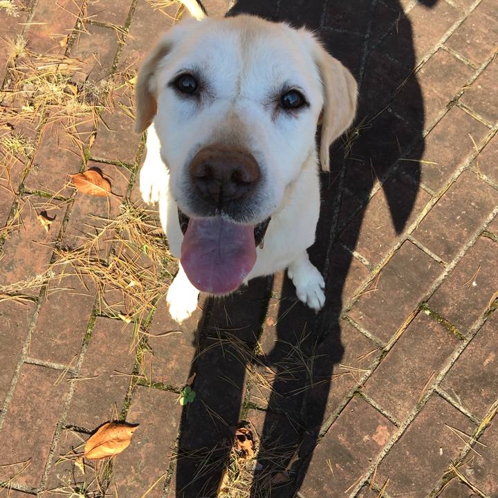 Cb6207c9 25ba 463a a968 74c64dfce135 1556614969435