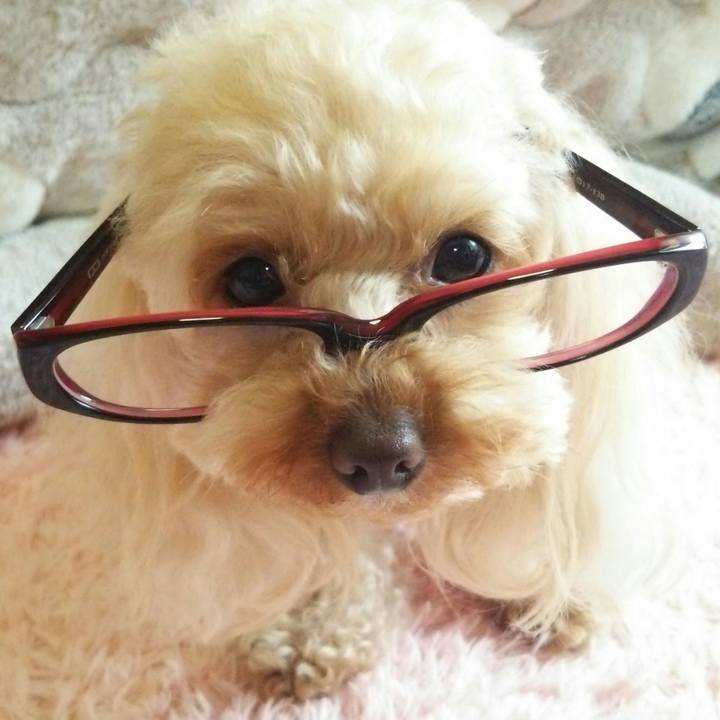 Cb623023 921a 4003 9b90 46f1a0250a54 1523530965910