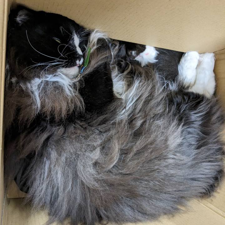 Cb624250 a21e 4d3b b1ad f77f959b23ac 1696821555889