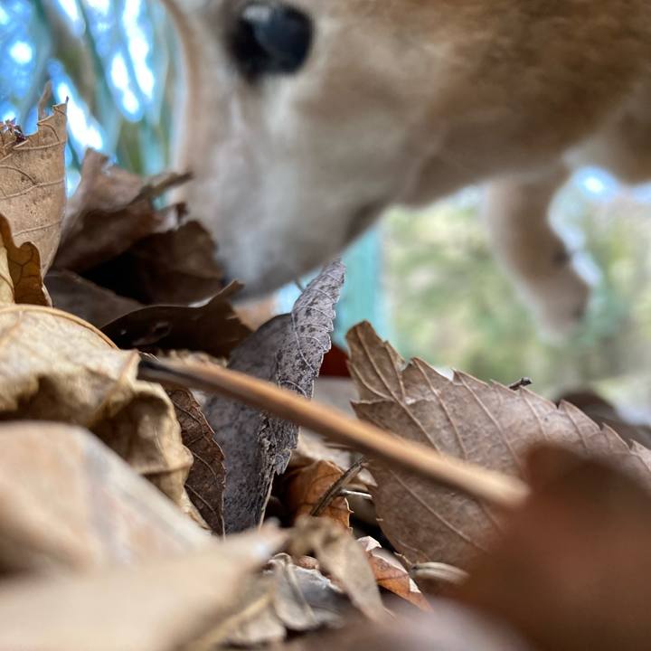 Cb6252cc 208d 41f0 af1b 5623b3e3a787 1707526445226