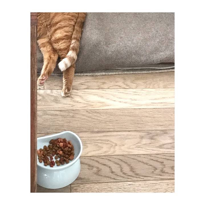 Cb6262ea 3ed3 478e b7e8 39576ae82169 1644053672891