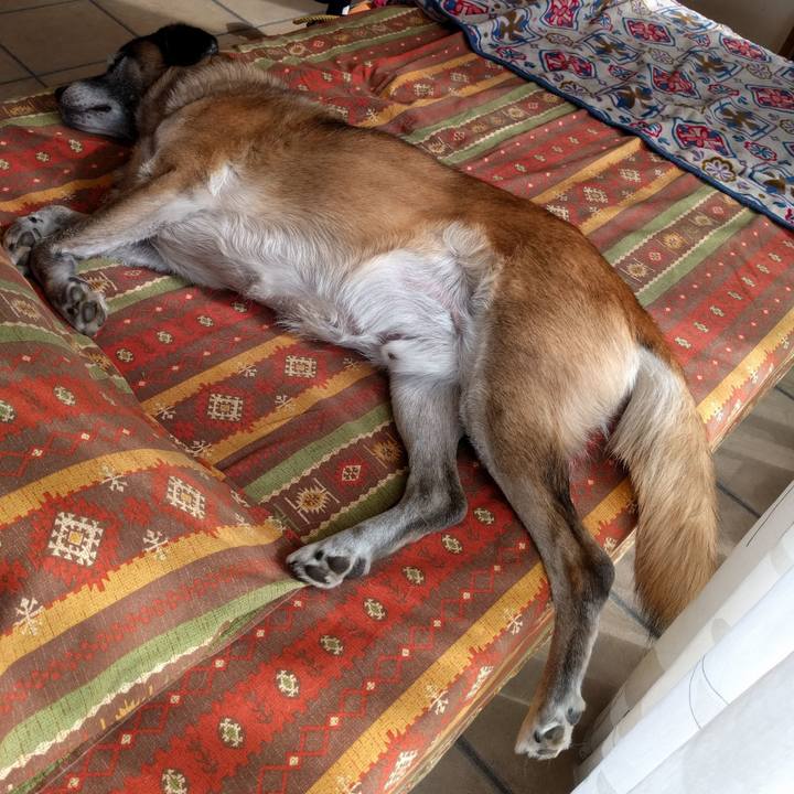 Cb6275bb 2d39 4697 8ffe c56d7f1059d1 1539843559561