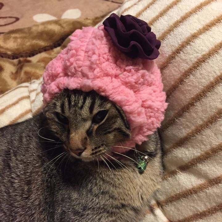 Cb62c104 f21d 4fcb b364 5f2311394827 1515156378008