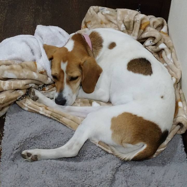 Cb62d27c 856f 4529 a3a7 708dd2e5dc36 1584448711687