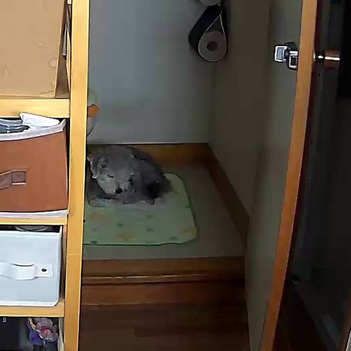 Cb62e116 100c 47f5 9067 f71232f646c3 1563232007584