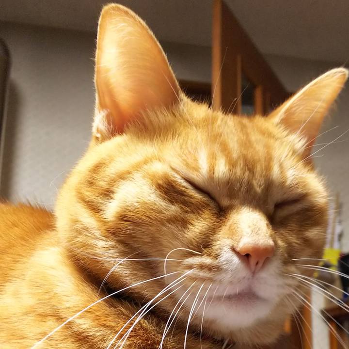 Cb631cd9 c7f1 49fe 8ed1 eec551a53d8c 1526650053601