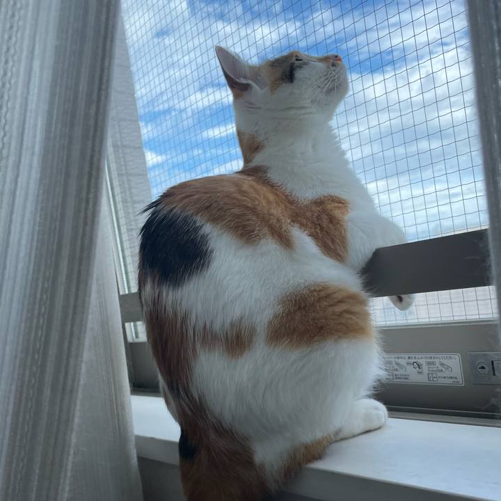 Cb631e5e 2836 4b59 9984 1f7ee8c3637d 1660266276011