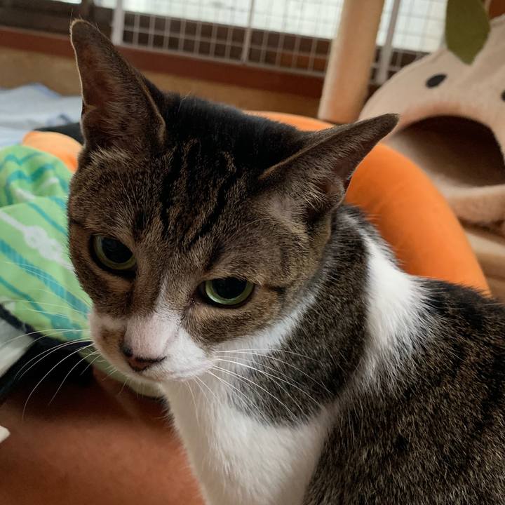 Cb6328fb 1e85 4f1c 9739 f89a20a10783 1568769540671