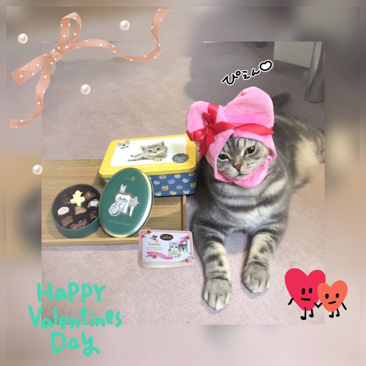 Cb63465c 250b 416f a7cb 50baa64a28ad 1613281511451