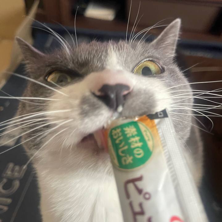 Cb63471d d386 4483 b362 f3a621dfdd5e 1709278487541