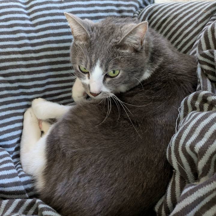 Cb63857a 072d 4ae3 9958 72ddd7a5bf4f 1730592690872