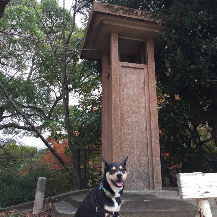 Cb63cc4c 9ec3 4606 b0f3 6ea46d46698f 1543804900563