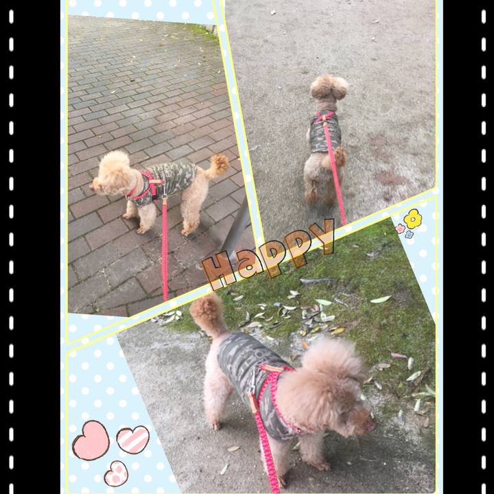 Cb63e86f d45f 4d7f 9e61 86103811889a 1526724384298