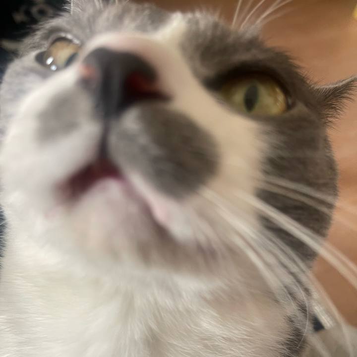 Cb63eac1 89c5 44cc aba6 12c2275873ca 1705638518727