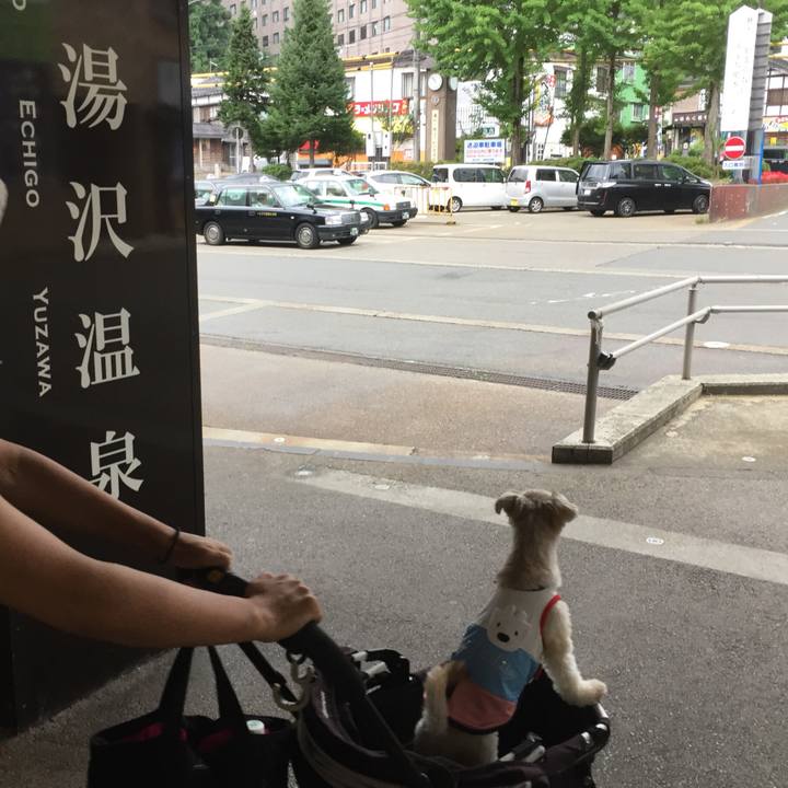 Cb63f23e 2c58 41ce 807b 3268887333c4 1535763740221