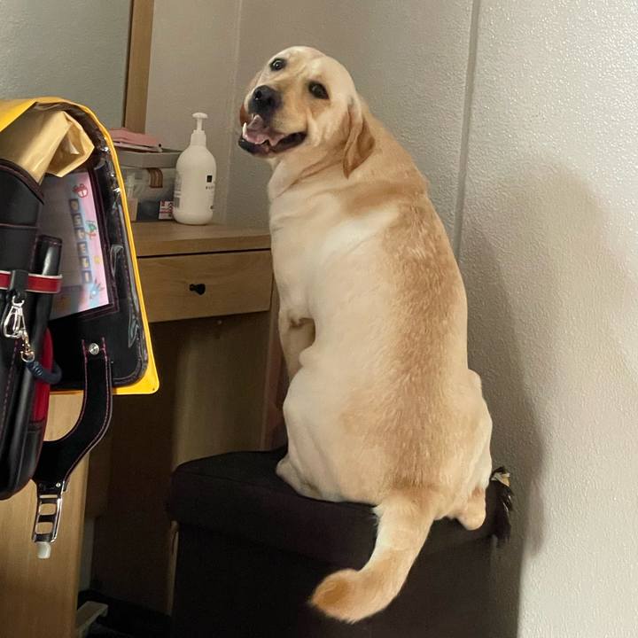 Cb643f9c ac0b 426e b6a3 7c9f36ae1ab6 1659750210098