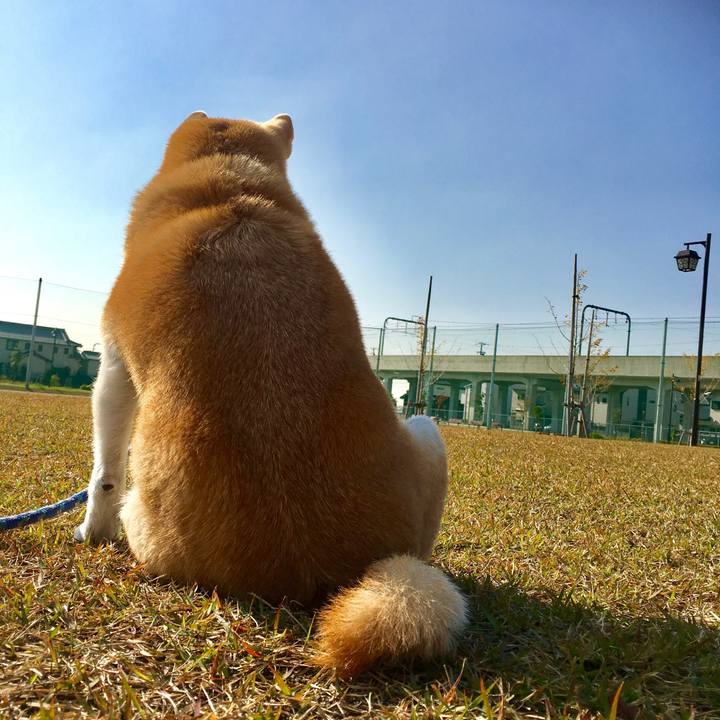 Cb64680f a4ef 499b 8856 be19f32d3316 1554561865783