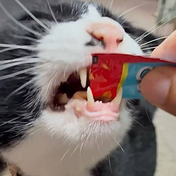 Cb646fcc 354d 4283 a678 ad58d41f0e50 1755135882769