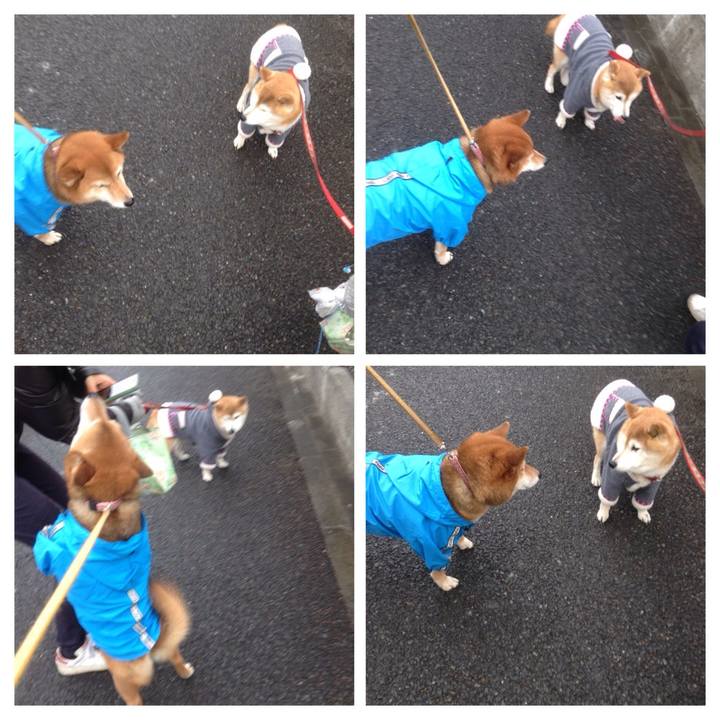 Cb648143 e1f4 4223 b9a4 4590b6157897 1519272702909