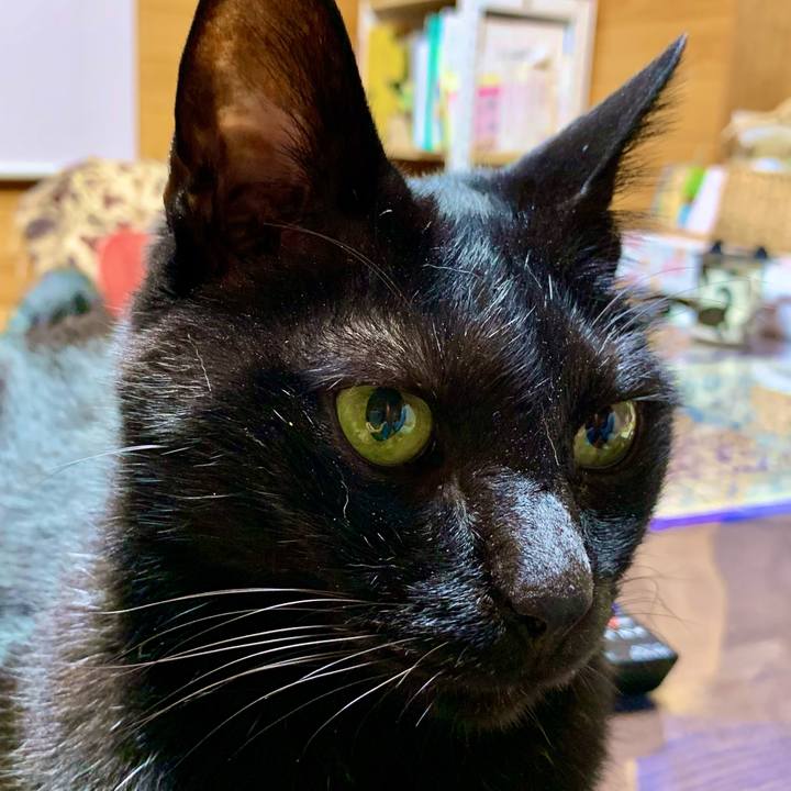 Cb64cc2b 5006 4381 bd69 9901711c239a 1681566171116