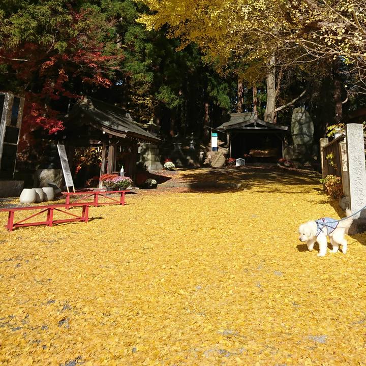 Cb64d758 24c8 4413 99eb 8614372decaa 1605417410175