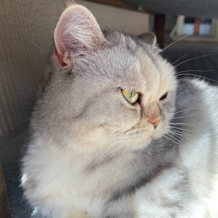 Cb64ed9e 9677 4398 ac69 cc9976e325ee 1740268691546