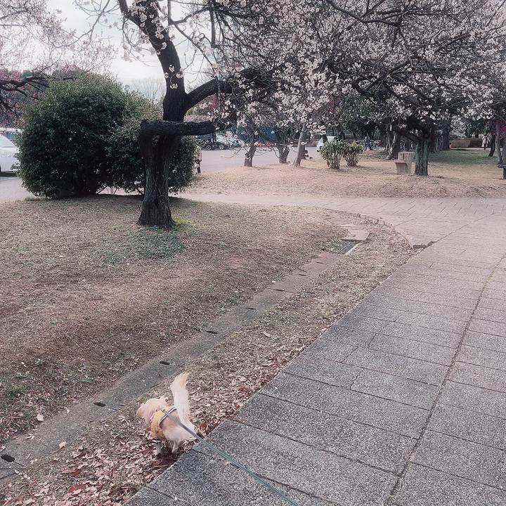 Cb65526f 2f5a 469d 8737 a606839b6a78 1708152816863