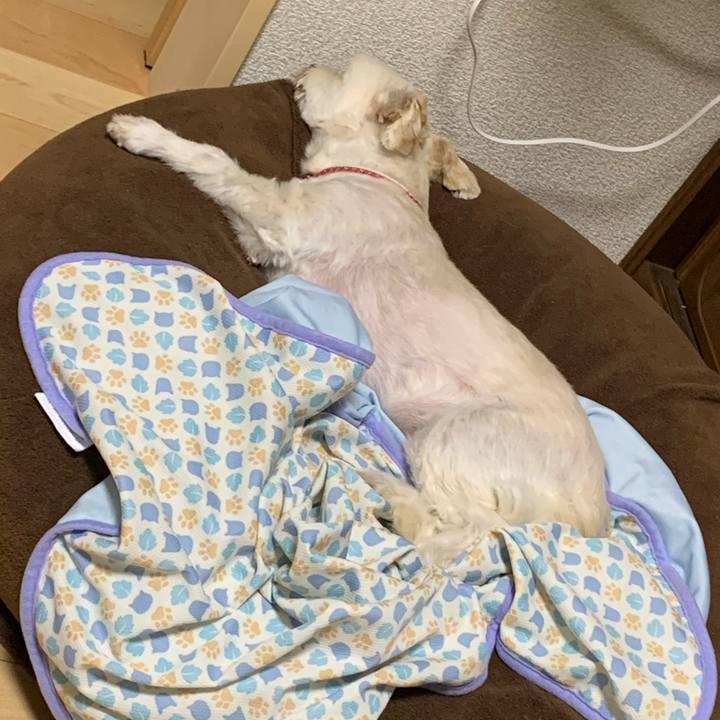 Cb656990 d00b 4bce bce8 4d09b55ddd0b 1591964275608